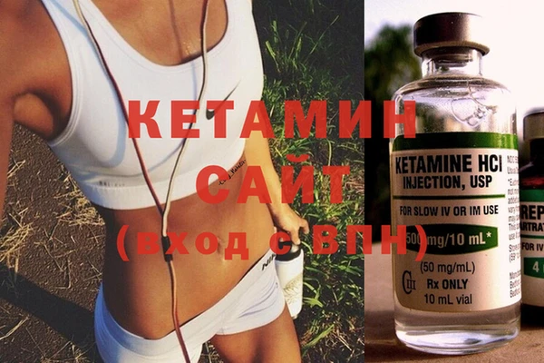 шишки Верея