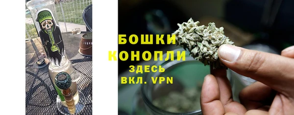 шишки Верея