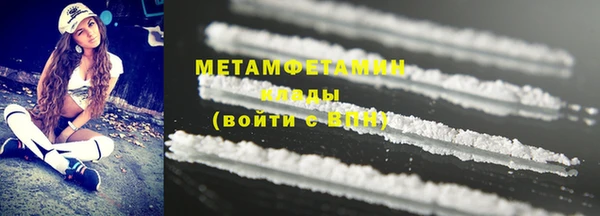 шишки Верея