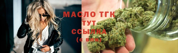 шишки Верея