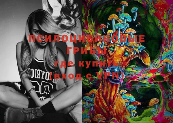 шишки Верея