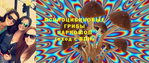 шишки Верея