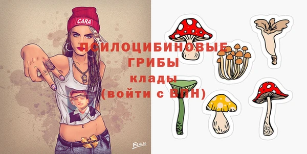 шишки Верея