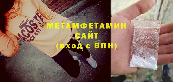 шишки Верея