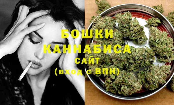 шишки Верея