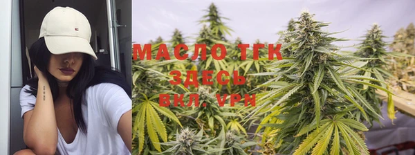 шишки Верея