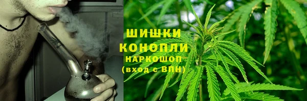 шишки Верея