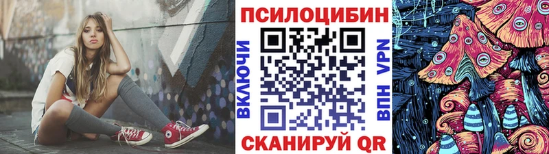 Псилоцибиновые грибы Cubensis  Новоржев 